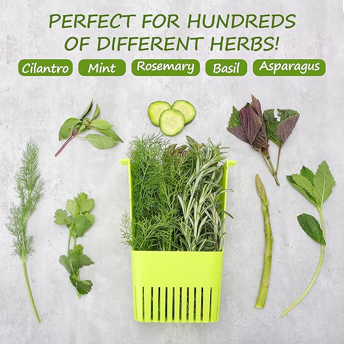 2 Pack Fresh Herb Keeper for Refrigerator, Clear BPA-Free Herb Saver, Storage Container for Cilantro, Parsley, Thyme, Mint & Asparagus, Preserver Keeps Fresh Herbs for 3 Times Longer