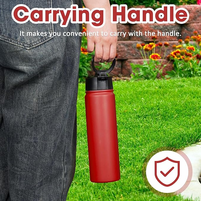 24 oz Insulated Water Bottle with Straw, Stainless Steel Double Wall Vacuum Thermos with Straw Lid Leak Proof, Wide Mouth Lid, Keep Cold and Hot