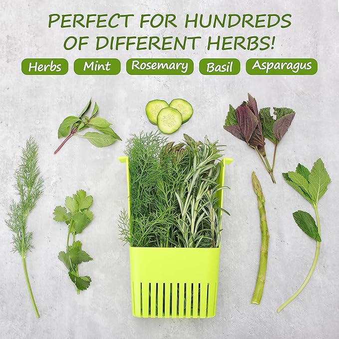 3 Pack Fresh Herb Keeper for Refrigerator, Clear BPA-Free Herb Saver, Storage Container for Cilantro, Parsley, Thyme, Mint & Asparagus, Preserver Keeps Fresh Herbs, Green & Blue & Orange